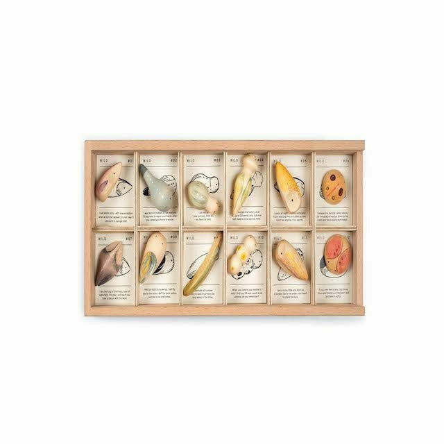 Grapat Wild Exploration Set