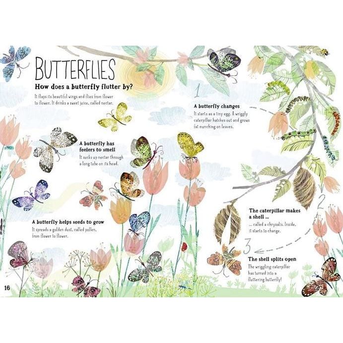 The Big Book of Bugs