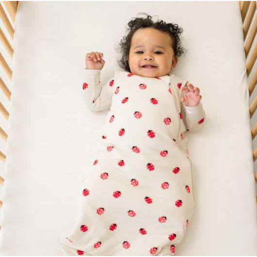 Kyte Baby Sleep Bag 1.0