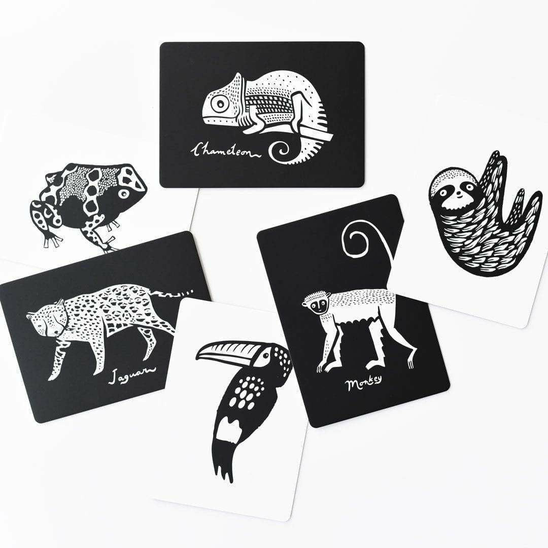 Wee Gallery Art Cards For Baby