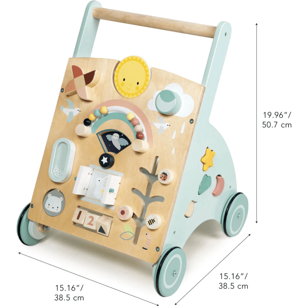 Tender Leaf Sunshine Baby Activity Walker