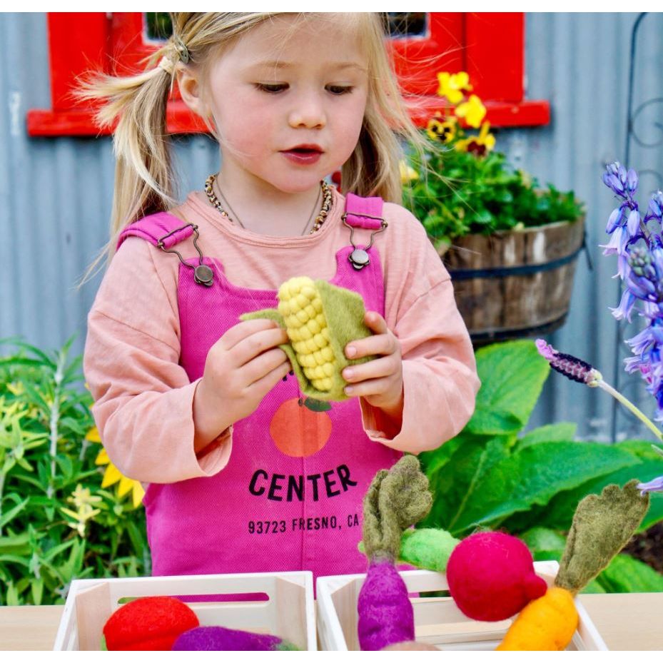 Tara Treasures Felt Vegetables and Fruits Set A (Set of 14 pieces)