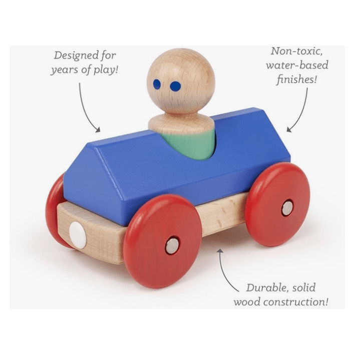 Tegu Magnetic Racer