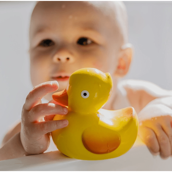 CaaOcho Lily the Duck