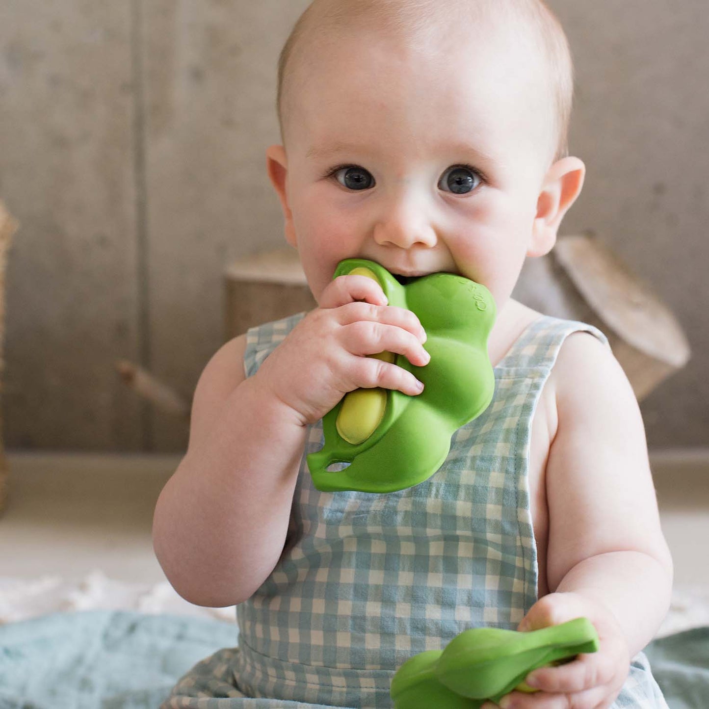 Newborn Gift Set 1 Mini Teether + 2 Teethers