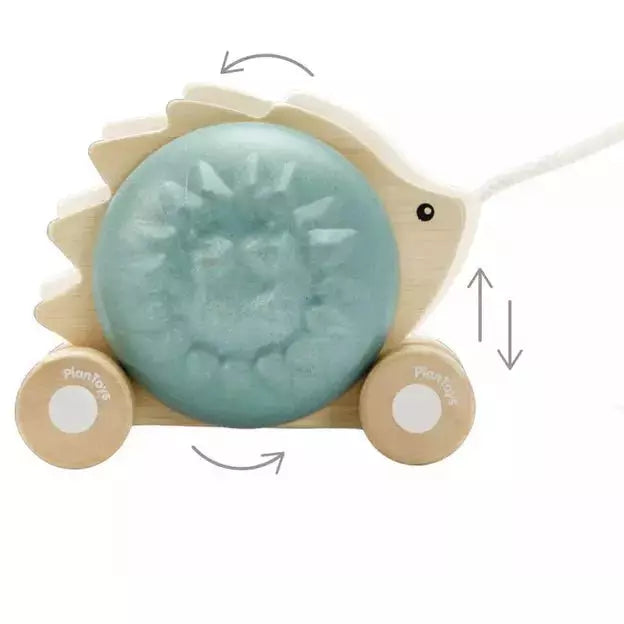Plan Toys Pull Along Hedgehog-Blue