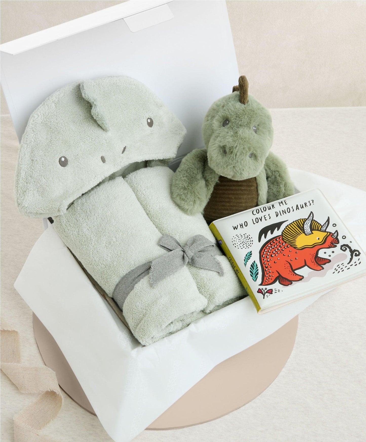Bathtime Dinosaur - Medium Gift Box
