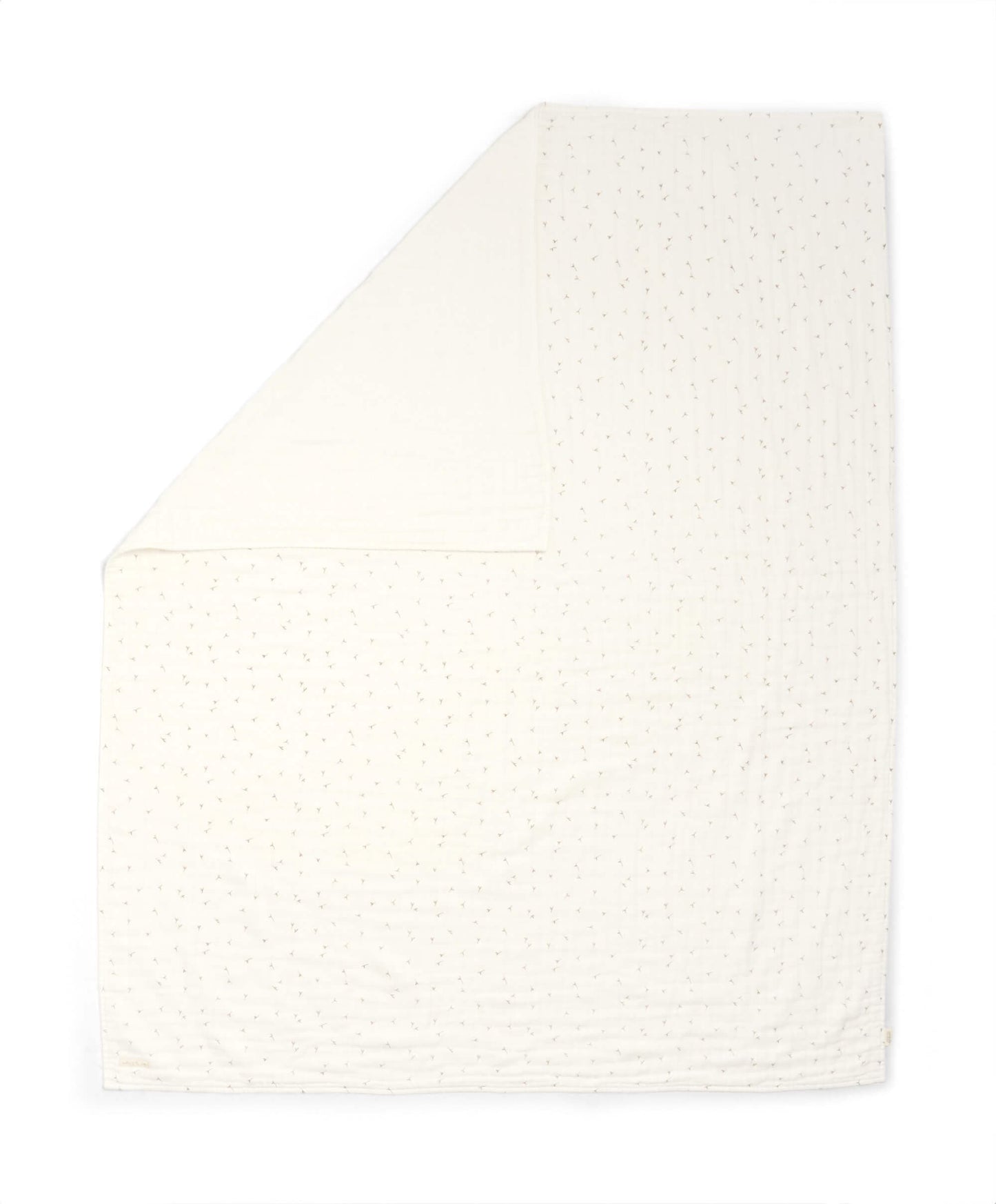 Muslin Blanket - Welcome to the World Seedling - Seed