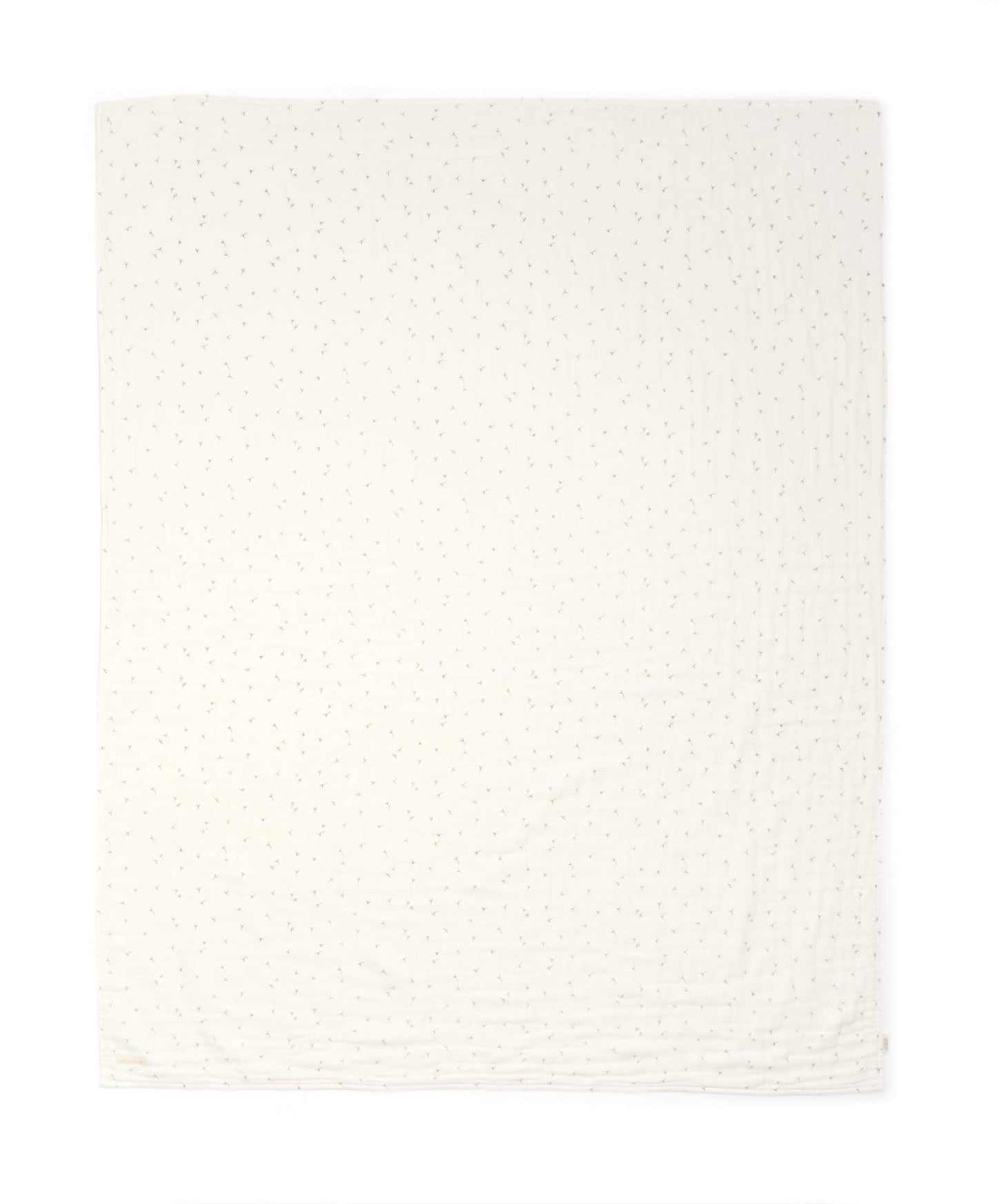 Muslin Blanket - Welcome to the World Seedling - Seed