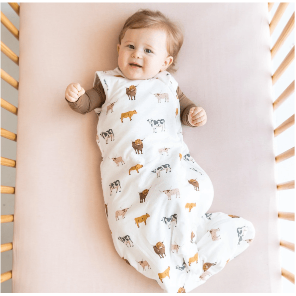 Kyte Baby Sleep Bag 1.0