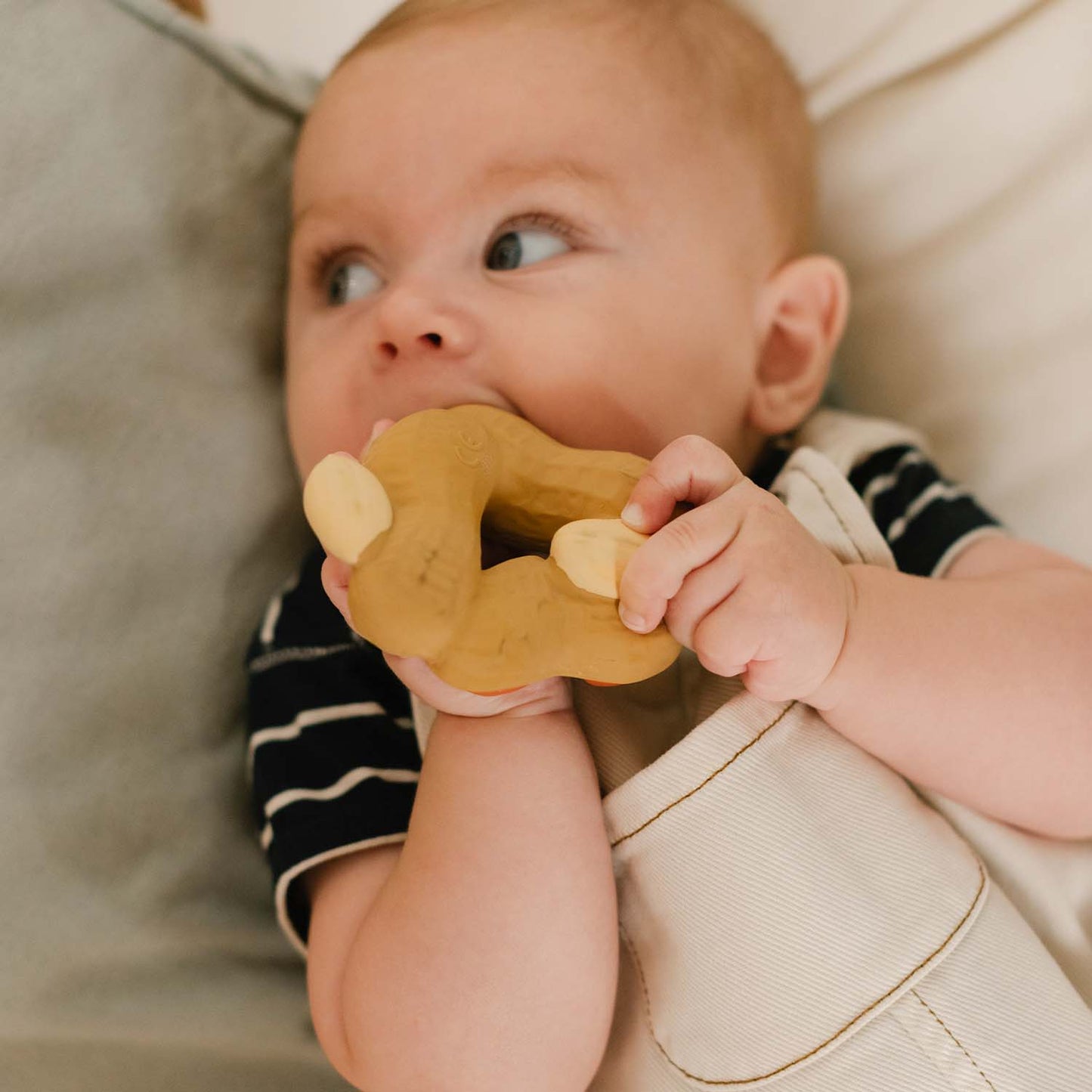 Newborn Gift Set 2 Baby Teethers + 1 Mini Teether