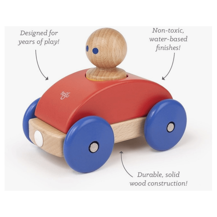 Tegu Magnetic Racer