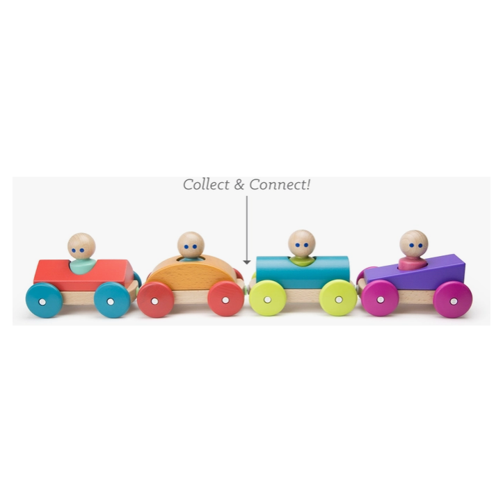Tegu Magnetic Racer