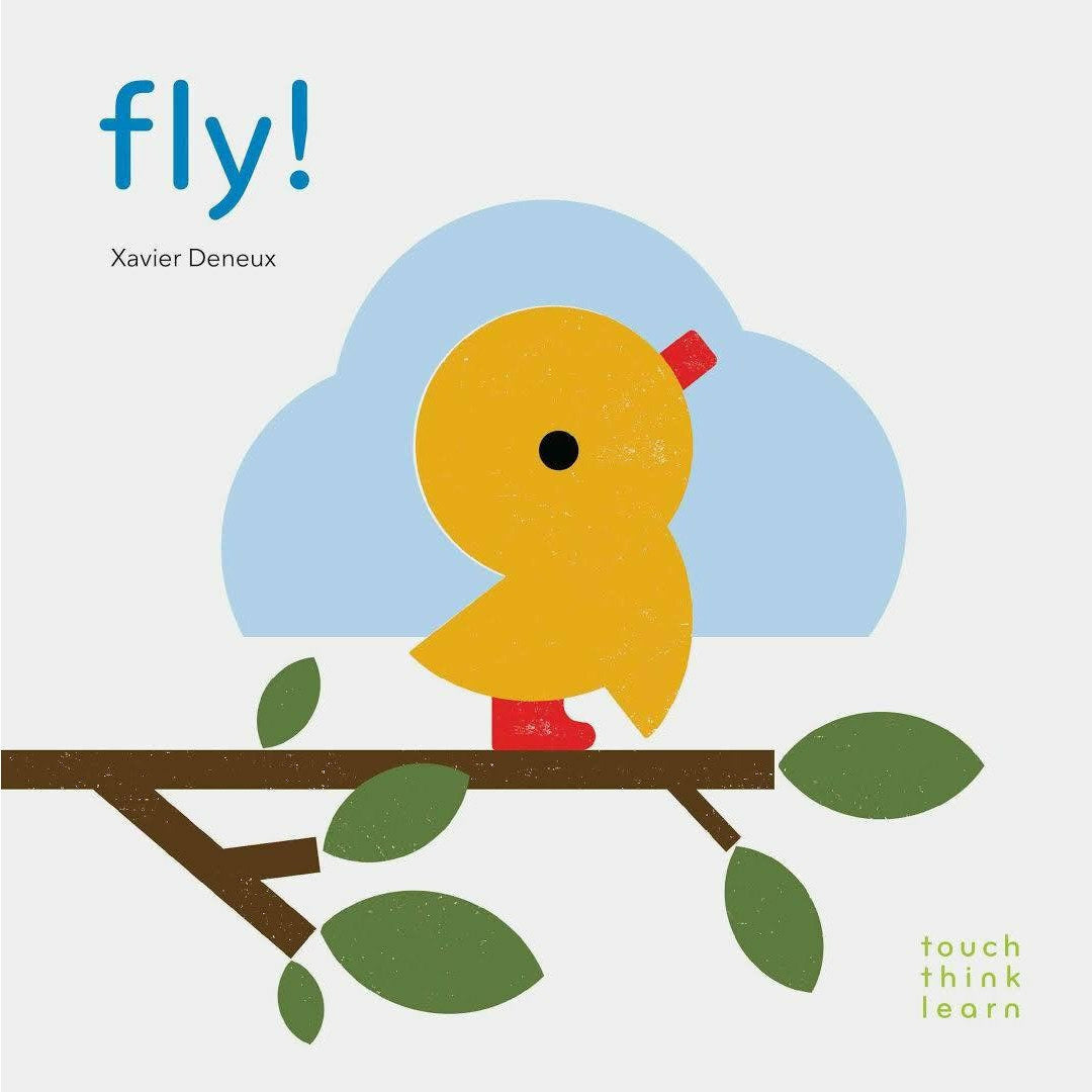 Touch Think Learn - Fly