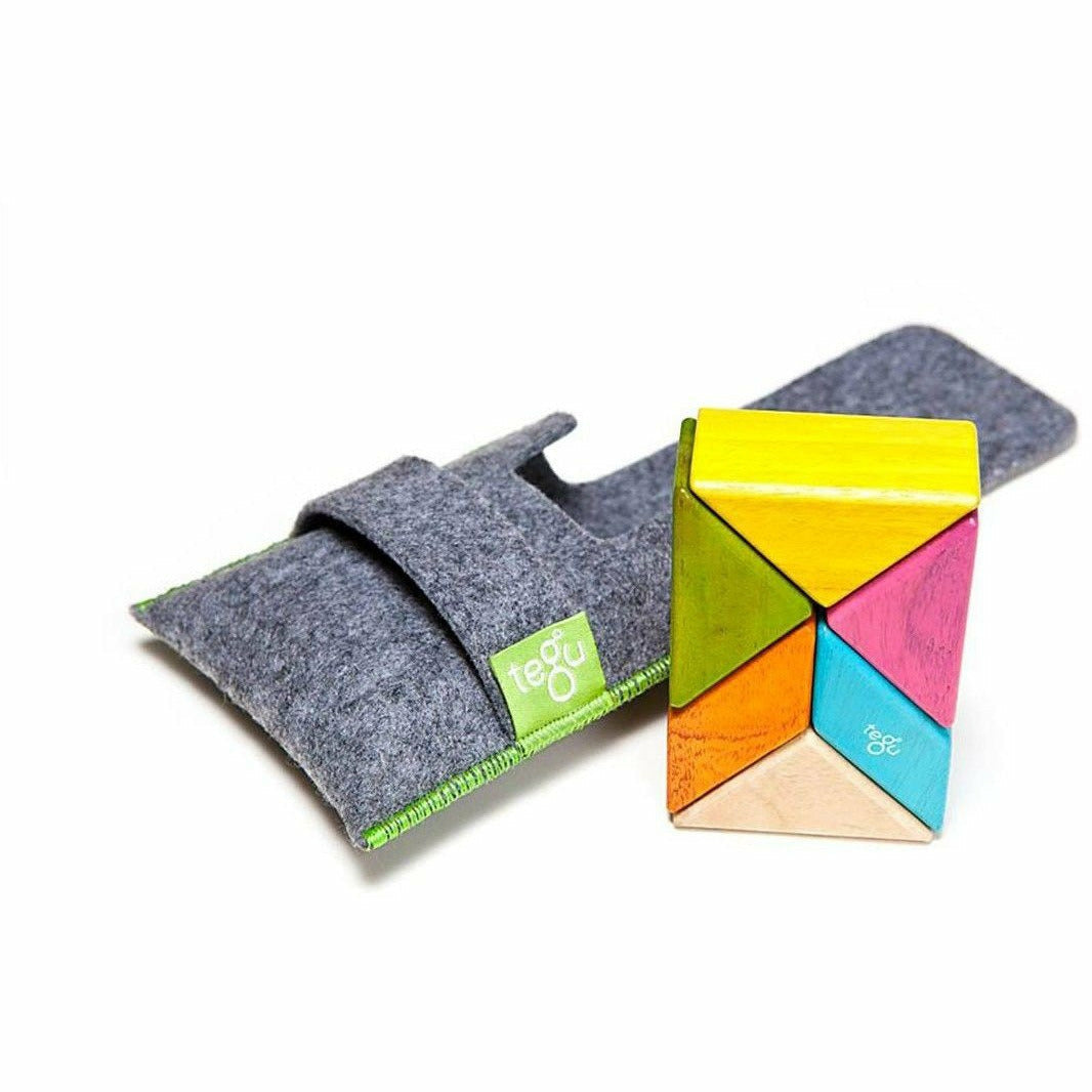 Tegu Pocket Pouch Prism: Tints