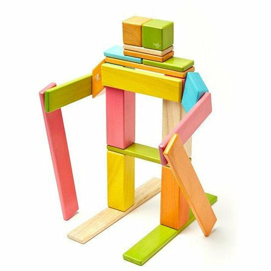 Tegu 24 Piece Magnetic Wooden Block Set: Tints
