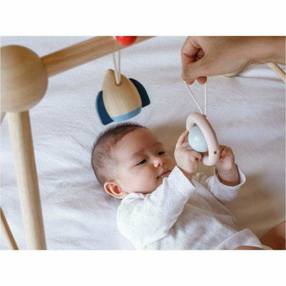 Plan Toys Play Gym - Orchard Series
