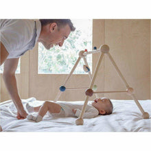 Plan Toys Play Gym - Orchard Series