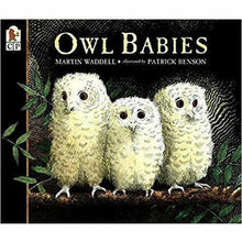 Owl Babies Board Book