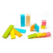 Tegu 14 Piece Magnetic Wooden Block Set: Tints