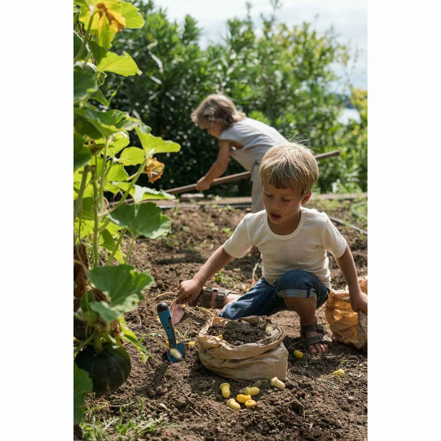 Grapat Mandala Tulips