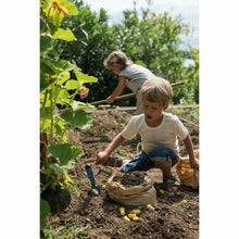 Grapat Mandala Tulips