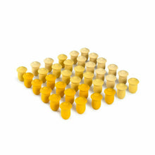 Grapat Mandala Tulips