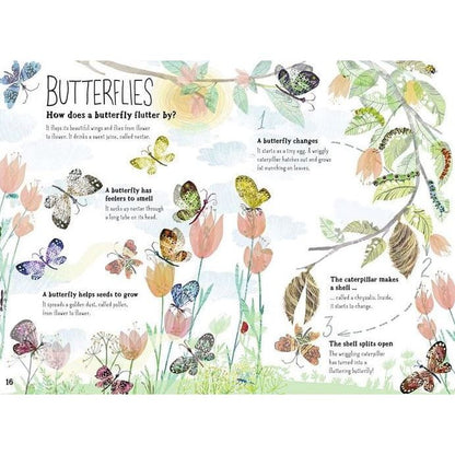 The Big Book of Bugs