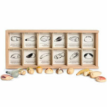 Grapat Wild Exploration Set