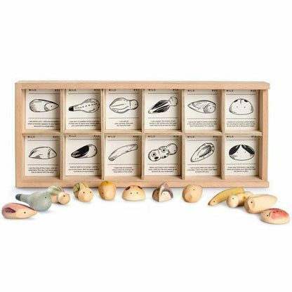 Grapat Wild Exploration Set