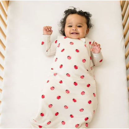 Kyte Baby Sleep Bag 1.0