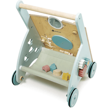 Tender Leaf Sunshine Baby Activity Walker