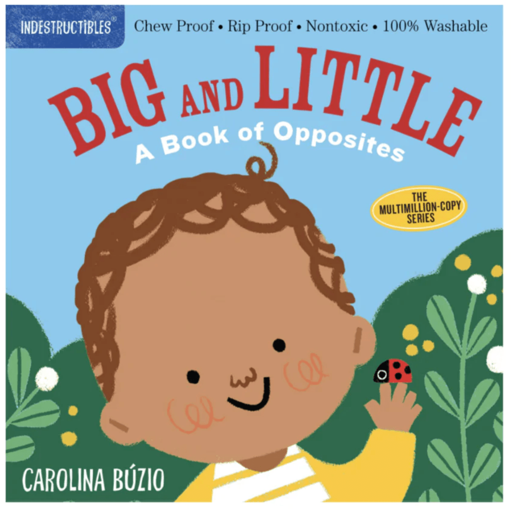 Indestructibles Books - Big & Little: A Book Of Opposites