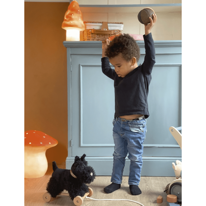 Egmont Pull-Along Walter