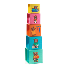 Djeco Blocks & Towers TopaniHouse