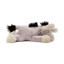 Nana Huchy Dexter the Lazy Donkey