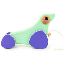 Bajo Sea Lion Galapagos