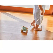 Plan Toys Pull Along Hedgehog-Blue