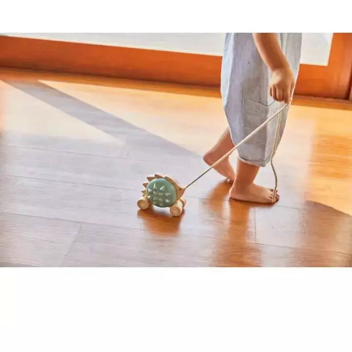 Plan Toys Pull Along Hedgehog-Blue