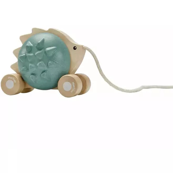 Plan Toys Pull Along Hedgehog-Blue