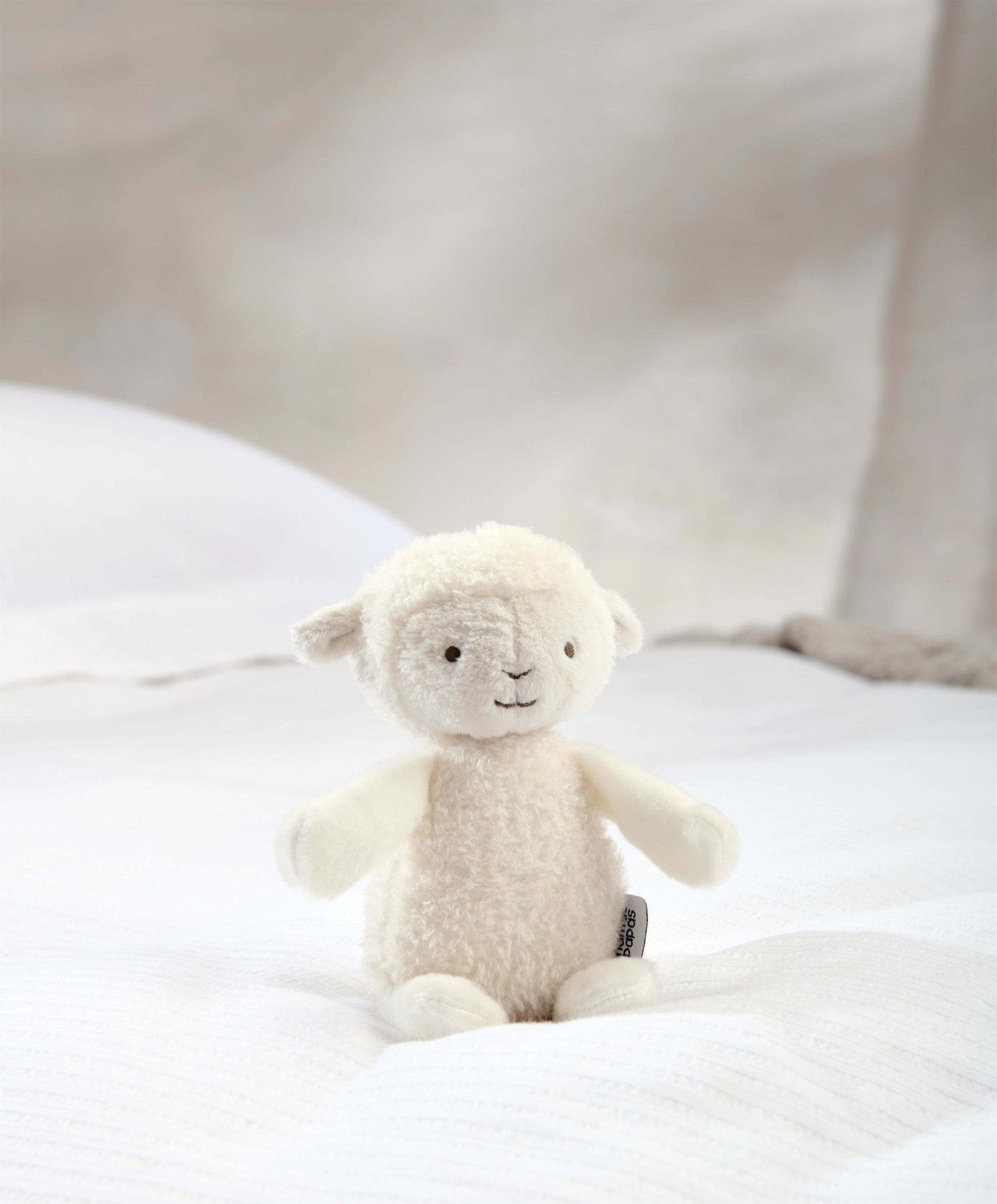 Bathtime Lamb - Medium Gift Box