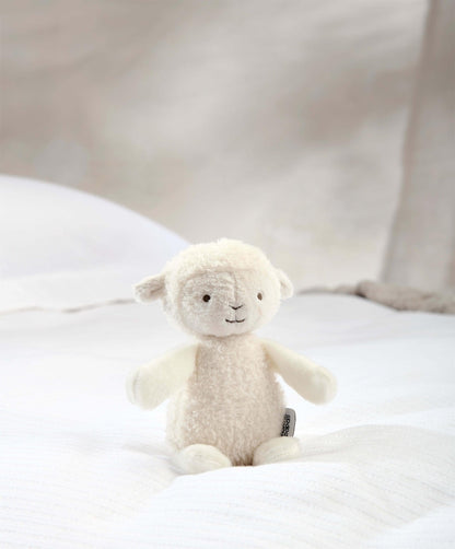 Bathtime Lamb - Medium Gift Box