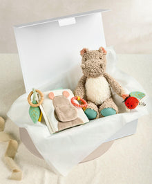 Babyplay Hippo & Book - Medium Gift Box
