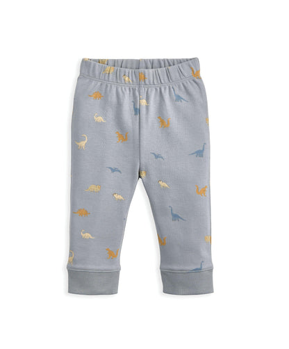 Bedtime Dinosaur Gift Box