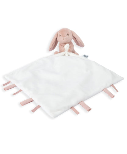 Embroidered Bodysuit & Floral Leggings Set (2 Pieces)  & Pink Bunny Comforter Gift Box