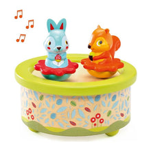 Djeco Friends Melody Music Box