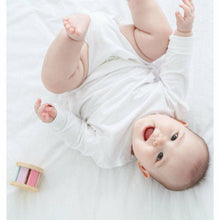 Plan Toys Roller - Pastel
