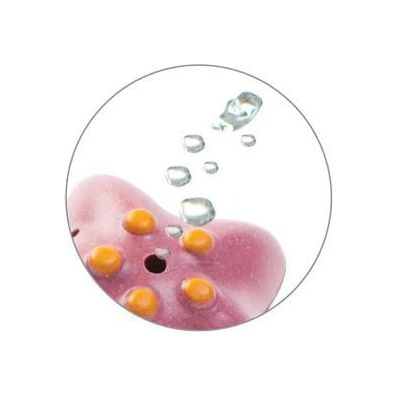 Plan Toys Sea Life Bath Set