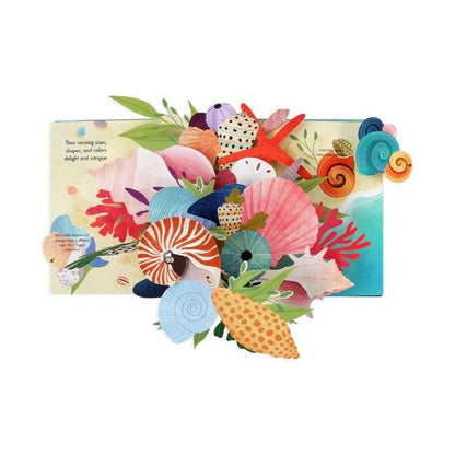Up with Paper Pop Up Book - Shells