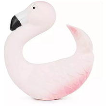 Oli & Carol Sky the Flamingo